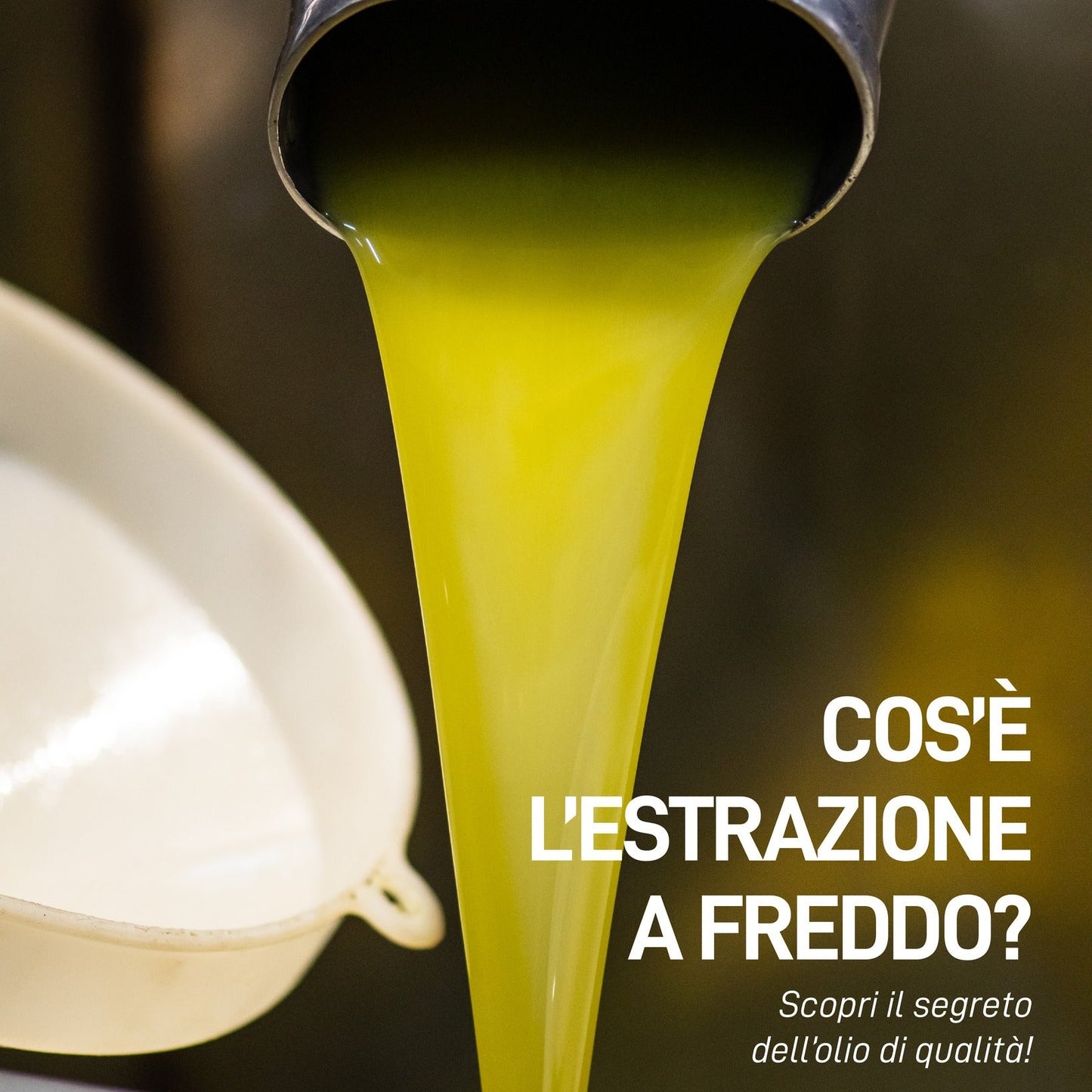 A Scuola di Olio - L'estrazione a freddo