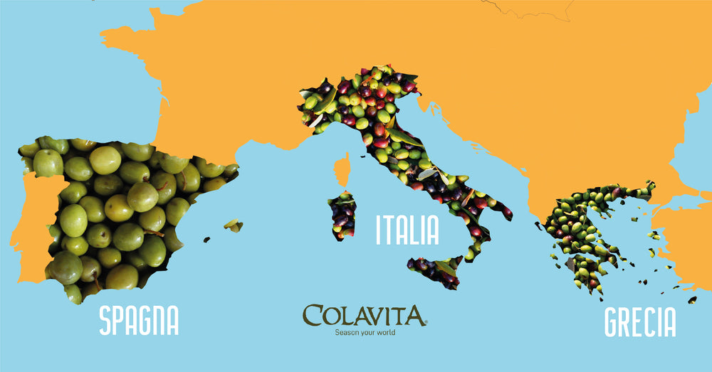 Le Aree Di Raccolta Delle Olive Per La Produzione Colavita