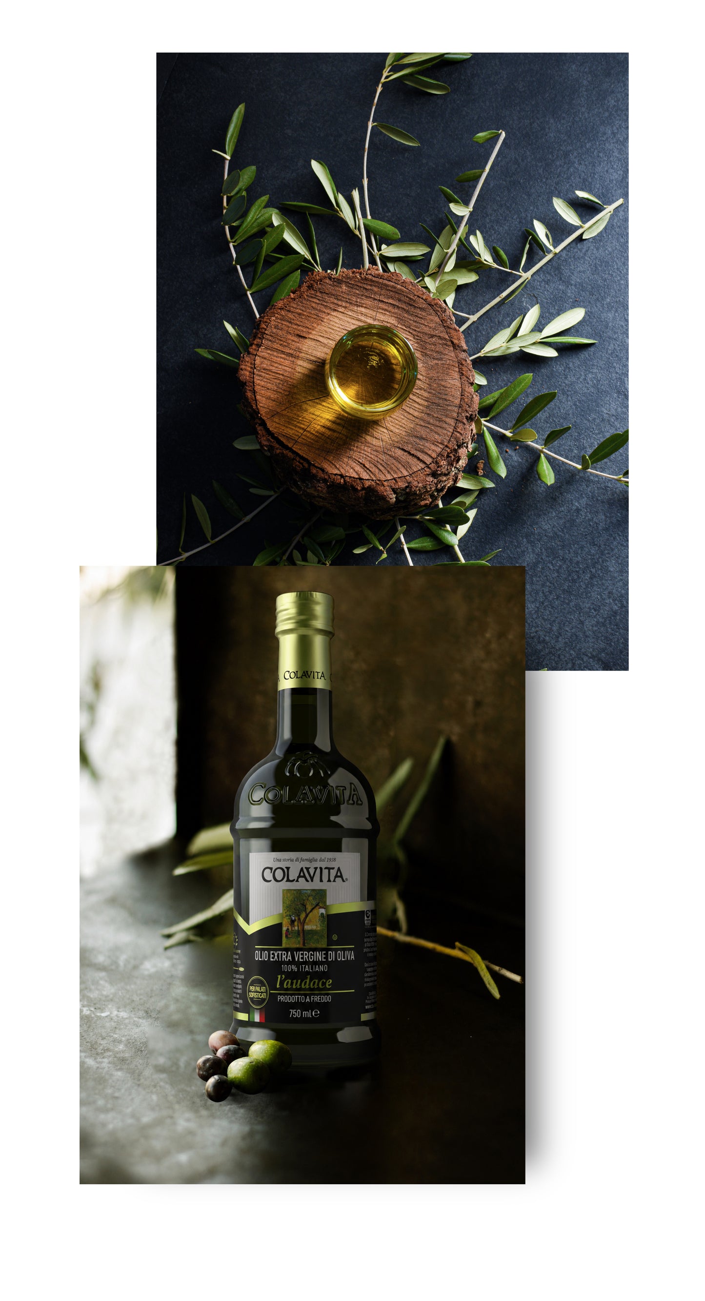 Colavita